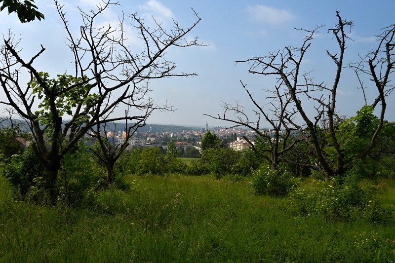 Kutná Hora 2018 - Kaňk